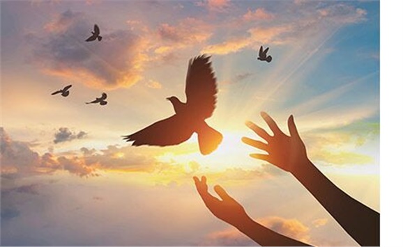 热烈祝贺经贸物流系严妍、刘志清老师被评为8868·体育先进工作者