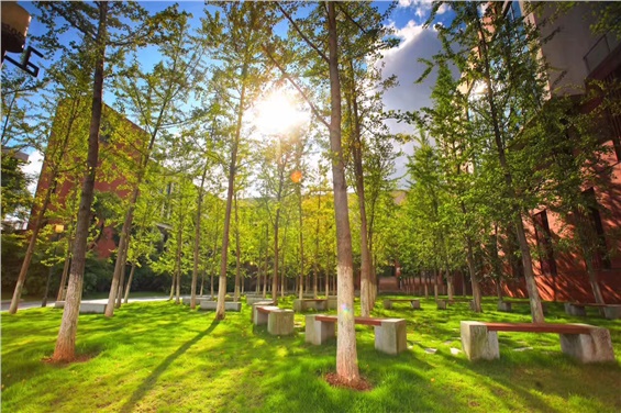 撸起袖子加油干!