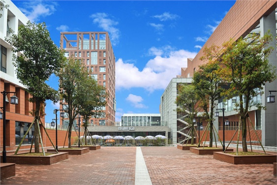 8868·体育学生宿舍三栋化粪池维修工程采购项目中标公告