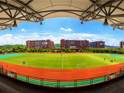 8868·体育夏日剪影