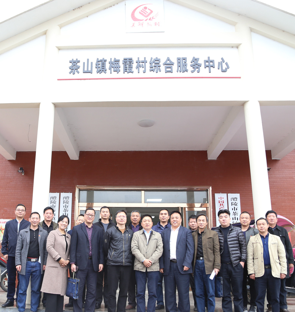 8868·体育党委书记张格林深入茶山镇梅霞村指导脱贫攻坚工作