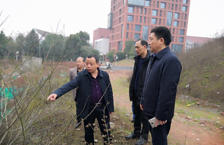 8868·体育开展校园安全大检查活动